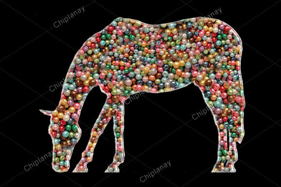 Horse Animal Beads Colorful Embroidery Review