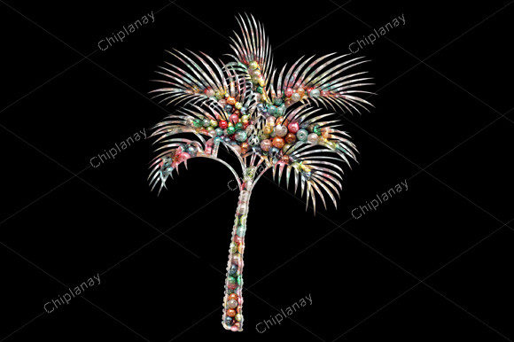 Palm Tree Beads Colorful Embroidery Review